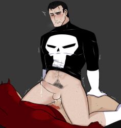 Punisher (Francis Castle) Rule 34 Image