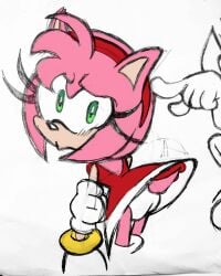amy rose from sega by citrus1694