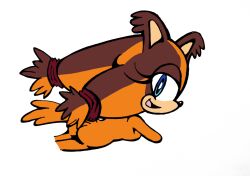 Sonic (Series) Rule 34 Image