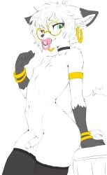 absurd_res canid canine clothing eyewear femboy fox glasses hi_res humanoid legwear male mammal pacifier r3i r3ign size_difference smaller_male solo thigh_highs