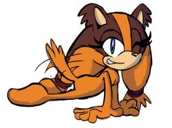Sonic Boom (Series) Rule 34 Image