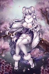 anthro areola asian_clothing black_clothing black_footwear black_sandals blue_eyes blush breasts cherry_blossom cherry_blossom_tree cherry_tree chest_tuft clothed clothing detailed_background digital_media_(artwork) exposed_breasts eyelashes felid female footwear fruit_tree full-length_portrait genitals hair hi_res long_hair mammal nipples no_underwear open_mouth outside pantherine pink_areola pink_inner_ear pink_nipples plant portrait pussy pussy_blush rosettes sandals shaded sitting snow_leopard socks solo tekahika text tree tuft url white_clothing white_footwear white_inner_ear_fluff white_socks white_thigh_socks