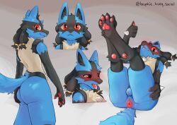 2026 absurd_res accessory anthro anus ass backsack balls big_butt blue_body blush blush_lines butt_grab cheek_tuft claws digital_media_(artwork) eyeliner facial_tuft finger_claws fluffy fluffy_tail generation_4_pokemon genitals gesture hair_accessory hand_gesture hand_on_butt hi_res lucario lying makeup male male_only multicolored_body multiple_poses neck_tuft nintendo nude nude_anthro on_back pawpads paws pokemon pokemon_(species) pose presenting presenting_hindquarters red_eyes sketch_page solo standing tail tauphie thumbs_up tuft