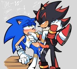 shadow the hedgehog from hooters by shaddycatz
