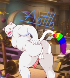 anthro anthro_penetrated antth anus ass balls bent_over blue_background blush butt_focus butt_plug_tail cat_ears cum dildo domestic_cat epic_games feline fortnite fortnite:_battle_royale furry furry_only gay gay_pride ghost_meowscles happy_sex humanoid_penis looking_back male male_only meowscles_(fortnite) muscular muscular_male naked penis pink_penis precum sex_toy solo solo_male tagme tail toy traced watermark