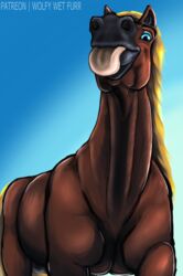 balls blep blonde_mane blue_eyes brown_body brown_fur crotchboobs digital_media_(artwork) draft_horse equid equine female feral fur genitals happy hi_res horse lips looking_at_viewer mammal mane quadruped smile solo tongue tongue_out wolfywetfurr_(artist)