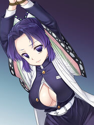 kochou shinobu from demon slayer by nagiyama