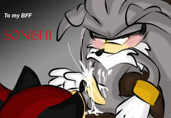 darkshadowvalentine shadow_the_hedgehog silver_the_hedgehog sonic_(series) tagme yaoi