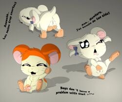 Bijou (Hamtaro) Rule 34 Image
