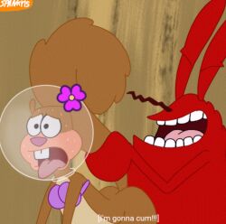 1boy 1girls crab crustacean female fluffy_tail fur interspecies male male/female mr_krabs nickelodeon orgasm parody sandy_cheeks spanky15 spongebob_squarepants squirrel straight