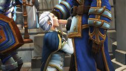 anduin wrynn from world of warcraft