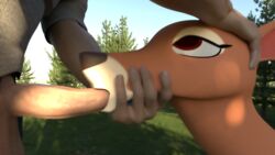 3d 3d_(artwork) blowing blowjob cryptocrisis deer digital_media_(artwork) duo fellatio fellatio_from_feral female feral forced furry hi_res human human_penetrating invalid_tag male male/female mammal oral oral_sex sex