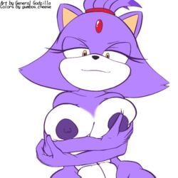 abs anthro areola bedroom_eyes big_breasts blaze_the_cat breasts crossed_arms domestic_cat edit felid feline felis female general_godzilla holding_breast looking_at_viewer mammal narrowed_eyes seductive smile solo sonic_(series) sonic_the_hedgehog_(series) wide_hips