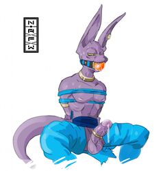 anthro ball_gag beerus blush bodily_fluids bondage boner bound domestic_cat dragon_ball dragon_ball_super drooling erection felid feline felis gag gagged genital_fluids hairless hairless_cat hi_res male male_only mammal not-reccomendable-for-work precum rope rope_bondage saliva solo sphynx_(cat) submissive submissive_male sweat yaoi