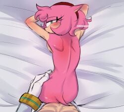 amy rose from sonic (series) by chiiriipeach