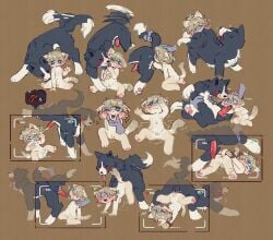anal anal_sex anilingus border_collie cub cum cum_in_ass cumming feral feral_on_anthro knot knotted_penis licking male male_cub male_only peeing peeing_in_mouth peeing_on_another penis rimming sex small_penis tail viotailed young