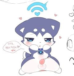 2025 abdominal_bulge absurd_res aellaellae anal anal_penetration anthro balls barely_visible_genitalia barely_visible_penis biped blue_body blue_eyes blue_fur blush bodily_fluids canid canine canis chibi collar cropped cum cum_while_penetrated dialogue digital_drawing_(artwork) digital_media_(artwork) duo front_view fur genital_fluids genitals half-closed_eyes heart_after_text hi_res korean_text looking_at_viewer male male_anthro male_on_anthro mammal multicolored_body multicolored_fur narrowed_eyes penetration penile penile_penetration penis penis_in_ass plantigrade shaded simple_background soft_shading speech_bubble text two_tone_body two_tone_fur white_background white_body white_fur wolf