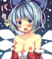 blue_hair blush cirno fairy small_breasts snowcanvas tagme touhou