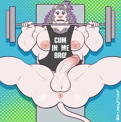 2021 abstract_background absurd_res anthro anus ass balls barbell bench_press big_muscles body_hair bottomless chest_hair clothed clothing english_text erection exercise facial_hair felid genitals grumpyfloof hair hi_res humanoid_genitalia humanoid_penis lion looking_at_viewer lying male mammal muscular muscular_anthro muscular_male nipples on_back pantherine pecs penis ponytail shirt sideburns simple_background solo spread_legs spreading tank_top text text_on_clothing text_on_shirt text_on_tank_top text_on_topwear thick_thighs topwear url weight_bench weightlifting workout