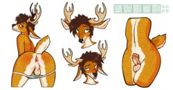 alpha_channel antlers anus areye_(artist) ass backsack balls blush cervid expression_sheet genitals girly hi_res horn looking_at_viewer male mammal multiple_poses original_character penis pose presenting presenting_hindquarters raised_tail simple_background solo spread_anus spread_butt spreading thick_penis thick_thighs transparent_background