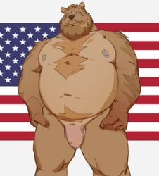 2021 absurd_res anthro balls beard belly body_hair brown_bear chest_hair facial_hair flaccid flag genitals hair hands_on_hips hi_res humanoid_genitalia humanoid_penis looking_at_viewer male mammal moobs musclegut muscular muscular_anthro muscular_male narrowed_eyes navel nipples nude overweight overweight_anthro overweight_male patriotism penis politics pubes simple_background solo standing ursid ursine vincethetiger