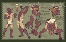 absurd_res animal_genitalia anthro antlers ass ass_up backsack ball_tuft balls butt_tuft cervid cervine chest_tuft elk english_text fur genitals hair hi_res hooves horn lying male male_only mammal mo_(momamo) model_sheet momamo muscular muscular_anthro muscular_male nipples nude on_back open_mouth orange_body orange_eyes orange_fur orange_hair penis perineum plantigrade sheath simple_background smile solo standing tail_tuft text tuft