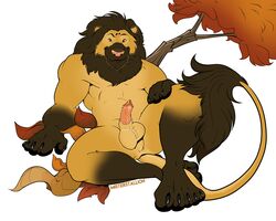 balls felid genitals leonine lion male male_only mammal misterstallion nude pantherine penis solo solo_male