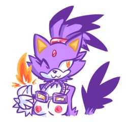 blaze_the_cat domestic_cat felid feline felis female hi_res mammal solo sonic_(series) sonic_the_hedgehog_(series) umbryte