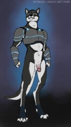 9:16 alaskan_malamute anthro armor athletic athletic_anthro athletic_male balls canid canine canis domestic_dog genitals hellgate hi_res humanoid_genitalia humanoid_penis london male mammal nordic_sled_dog nude penis solo spitz wolf wolfywetfurr_(artist)