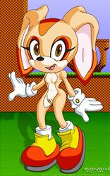 anthro color cream_the_rabbit female female_only fur furry gloves huge_eyes huge_head mostly_nude rabbit sega shoes smile solo sonic_(series) standing tagme toony