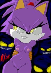 blaze_the_cat monkeyxflash sonic_(series) tagme