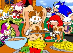 amy_rose anthro background bat breasts canine chameleon color cream_the_rabbit crocodile day echidna espio_the_chameleon female food fox fur furry furry_only hedgehog in_love interspecies knuckles_the_echidna large_breasts male mammal monotreme multiple_females multiple_males outdoors praiz rabbit reptile rouge_the_bat sega sonic_(series) sonic_team sonic_the_hedgehog sonic_the_hedgehog_(series) tails vanilla_the_rabbit vector_the_crocodile