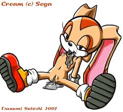 2007 color cream_the_rabbit female female_only fur furry pussy rabbit sega solo sonic_(series) tsunami_satoshi vulva