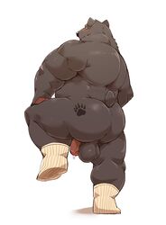 2021 absurd_res anthro ass backsack balls black_body black_fur black_nose bodily_fluids fur genital_fluids genitals hi_res jumperbear kemono male mammal overweight overweight_anthro overweight_male penis precum simple_background solo ursid white_background