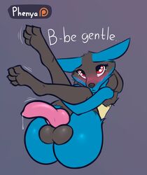 4_toes absurd_res animal_genitalia animal_penis anthro arm_around_legs ass balls bent_arm bent_legs black_balls black_pupils blue_body blue_ears blue_fur blush bodily_fluids canine_penis cute_eyes dialogue ears_aside english_text erection feet folded fur fur_tuft genital_fluids genitals hi_res holding_legs holding_legs_back holding_legs_up knot legs_back legs_in_air legs_up lucario male nintendo nude penis penis_tuck phenyanyanya pink_knot pink_penis pokemon pokemon_(species) precum pupils red_eyes snout text toes tuft video_games wishbone_mouth