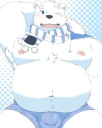 2021 anthro belly black_nose blue_eyes blush bulge clothing genital_outline hagom hi_res kemono male mammal moobs navel nipples overweight overweight_anthro overweight_male penis_outline polar_bear scarf shirane_kan solo underwear ursid ursine utau