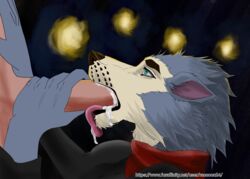 24raccoon anthro beastars big_penis blowjob blue_body blue_fur bodily_fluids cum cum_in_mouth cum_inside cum_on_tongue digital_media_(artwork) duo fellatio fur genital_fluids genitals green_eyes hi_res legoshi_(beastars) male male/male male_penetrated male_penetrating male_penetrating_male oral oral_penetration penetration penile penis penis_in_mouth sex tongue tongue_out tongue_out_blowjob