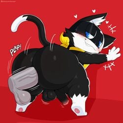 2boys anal anal_sex anthro ass ass_up atlus balls big_ass big_butt bottom_heavy bottomless bubble_ass bubble_butt butt_focus erection fat_ass fat_butt femboy from_behind furry gay girly heart huge_ass jinu male male/male male_only morgana_(persona) nude penis persona sega sex simple_background testicles thick thick_ass thick_penis thick_thighs trap twerking veiny_penis wide_hips yaoi