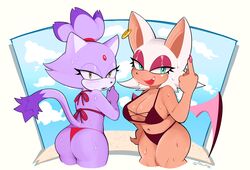blaze the cat from sega by glare (artist)