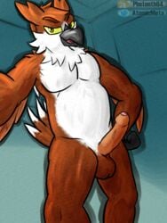 1boy anthro avian bird chest_tuft erection foreskin genitals gizmo hi_res looking_at_viewer male male_only muscular muslegut nude owl penis selfie slightly_chubby solo tuft uncut