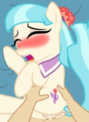 accessory alternate_version_at_source anus ass badumsquish bed blush bodily_fluids choker closed_eyes clothing coco_pommel_(mlp) correct_artstyle cum cutie_mark earth_pony equid equine female feral flower flower_in_hair friendship_is_magic furniture genital_fluids genitals hair hair_accessory hasbro hooves horse human human_on_feral interspecies jewelry lying male male/female male_human/female_feral male_on_feral mammal my_little_pony necklace on_model on_side open_mouth penetration penis plant pony pussy sex teeth tongue vaginal_penetration zoophilia