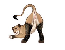 animal_genitalia animal_pussy anus ass belly blush caviaporcellus27 clothing digital_media_(artwork) disney ears_back fan_character feet felid feline female feral fur genitals hindpaw legwear lion mammal nude pantherine paws pivoted_ears pussy simple_background smile solo spread_legs spreading stockings the_lion_king