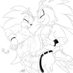 abs anal anthro balls big_penis bodily_fluids clothing duo gay genitals hi_res jet_the_hawk male male/male muscular muscular_male nipples penis saliva saliva_string soina sonic_(series) sonic_riders sonic_the_hedgehog sonic_the_hedgehog_(series) topless_male torn_clothing yaoi