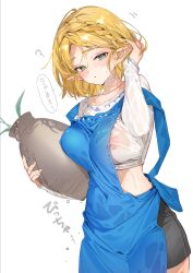 princess zelda from breath of the wild by shuri (84k)