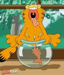 1boy ambiguous_gender animated feline fellatio feral fish fish_bowl fishjob garfield_(series) garfield_the_cat goldfish half-closed_eyes interspecies male male/ambiguous marine penis sextoon tongue tongue_out water window