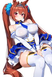 daiwa scarlet (umamusume) from umamusume