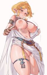 princess zelda from breath of the wild by shuri (84k)