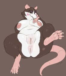 2023 anthro anus areola armello breasts digital_media_(artwork) female genitals griotte_(armello) hi_res mammal murid murine nipples nude pussy rat rodent simple_background slimefur solo spread_legs spreading