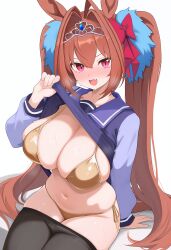 daiwa scarlet (umamusume) from umamusume