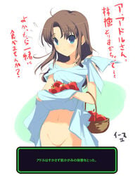 apple basket blue_dress blush charinko_fox dress dress_basket dress_lift falcom food fruit lilia no_panties skirt skirt_basket skirt_lift translated translation_request yaegashi_nan ys